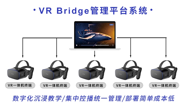 VR Bridge管理平台